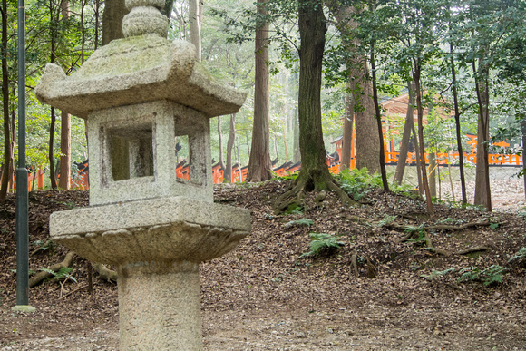 garden with torii gates